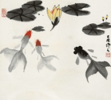 国画金鱼图片大全|国画金鱼图片素材免费下载