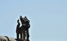 上江丽江屋顶上的瓦猫图片