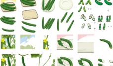 绿色蔬菜黄瓜合集图片