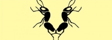 商品蚂蚁logo图片