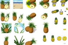 卡通菠萝菠萝合集图片