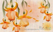 花卉插画图片