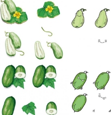 绿色蔬菜丝瓜冬瓜西葫芦图片