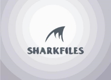字体鲨鱼logo图片