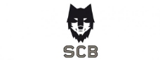 经典英文字体野狼logo图片