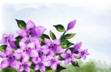 一束紫色手绘花朵