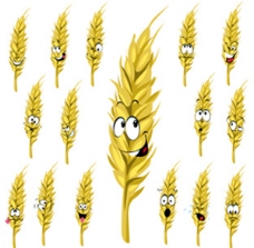 小麦创意主题矢量素材-3