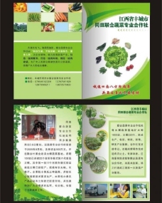 绿色蔬菜蔬菜宣传单画册图片