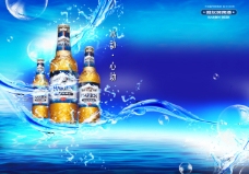哈尔滨啤酒广告 啤酒 蓝色底图
