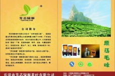 广告画册茶叶公司宣传画册广告页图片
