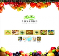 企业画册食品保鲜器广告图片