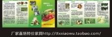 蔬菜食品安全知识折页图片