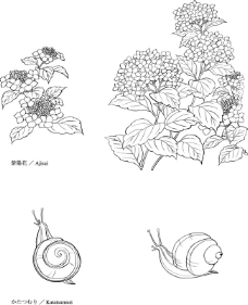 花叶蜗牛绣球花线条插画