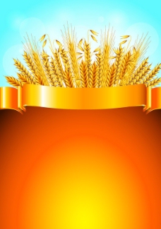 黄色背景金色丝带横幅麦穗背景图片