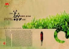 中国广告中国风普洱茶宣传广告