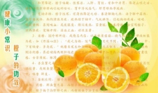橙子宣传册图片