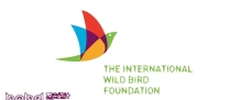鸟类logo