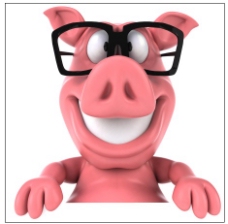 动漫猪3D小猪