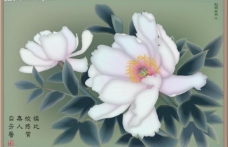 牡丹系列四芳馨国画写生图片