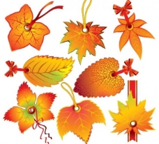 秋季促销树叶标签枫叶标签图片