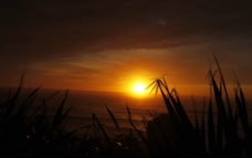 新西兰 夕阳 大海图片