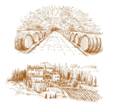 葡萄酒桶红酒庄园图片