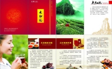大红袍 红茶 茶文化 画册图片