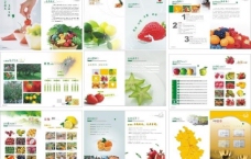 水果画册设计方案图片