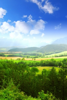绿色大自然风景图片