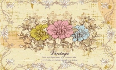 欧式边框古典花纹花朵图片