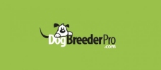 商品动物logo图片
