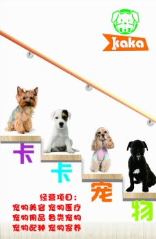 宠物狗宠物海报图片