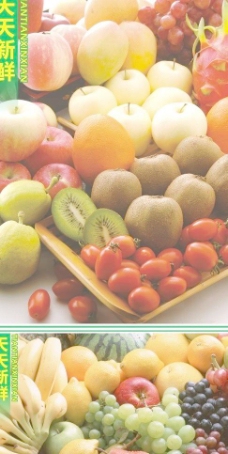 果蔬天天新鲜水果展板图片