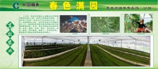 烟草农业宣传展板图片