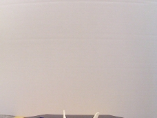 Makerbot复制2圣诞饰品
