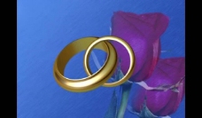 婚礼视频素材 婚图片