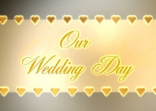 婚礼视频素材图片