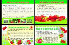 水果展板草莓广告图片