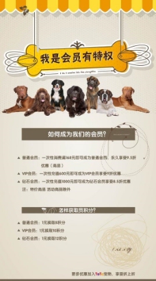 宠物医院宠物店宣传海报图片