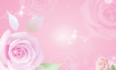 牡丹梦幻玫瑰背景图片