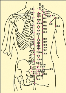 人体背后的经络结构图图片
