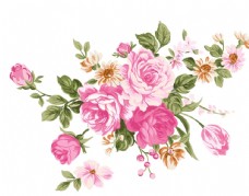 欧式花纹背景手绘玫瑰图片