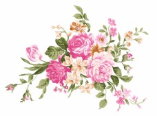 欧式花纹背景手绘玫瑰图片