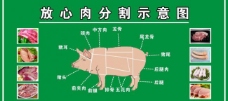 猪矢量素材猪肉分割图片