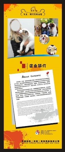 宠物狗企业简介易拉宝图片