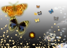 蝴蝶 星光泡泡素材图片