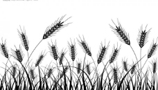 小麦剪影矢量素材图片
