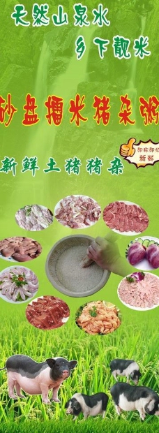 猪矢量素材砂盘擂米猪杂粥图片