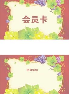 果蔬葡萄藤环绕彩色艺术卡图片