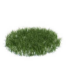 源文件植物模型小草模型图片